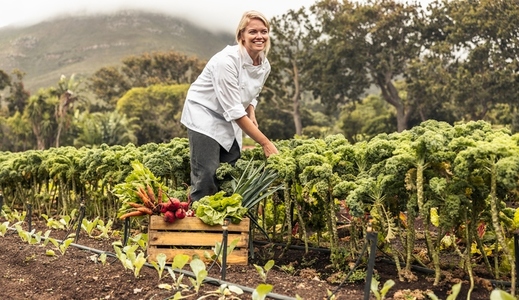 Carefree female chef harvesting fresh vegetables