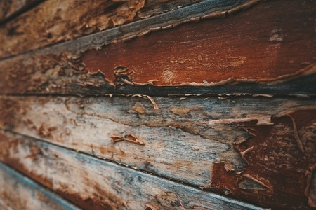 Textured image of old wood