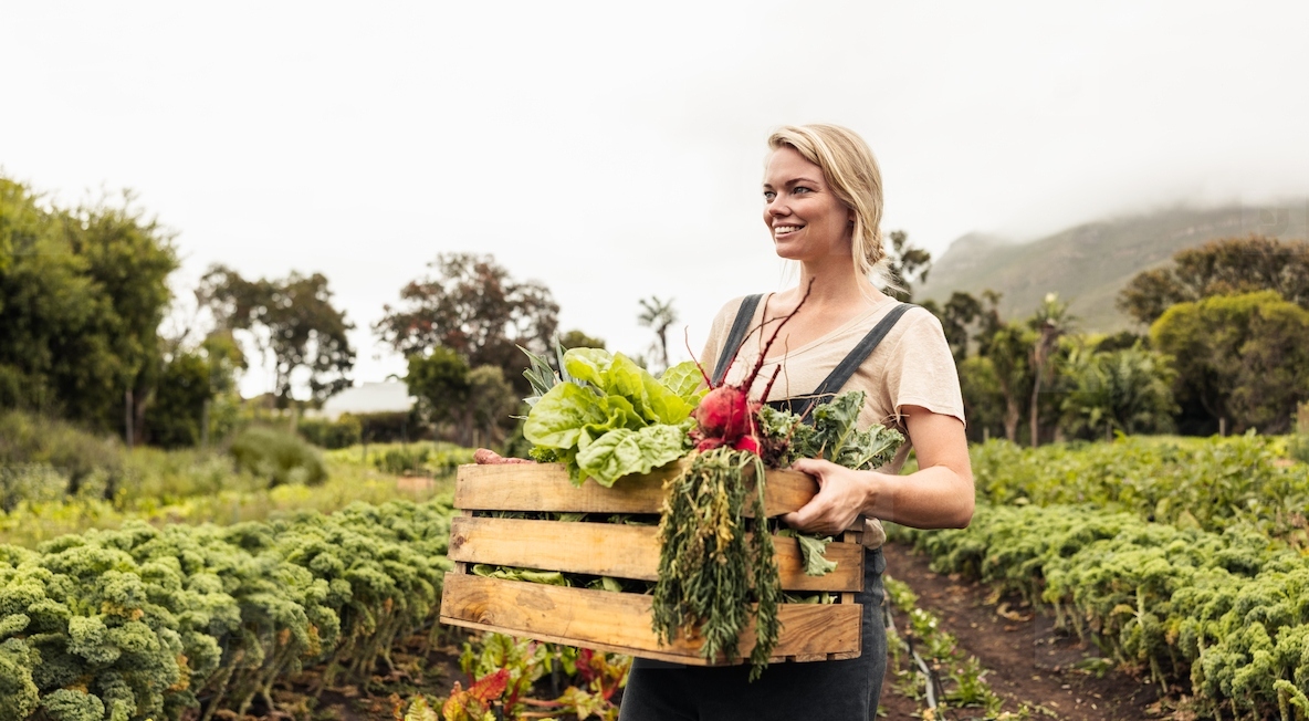 Young female farmer holding a box with fresh vegetables