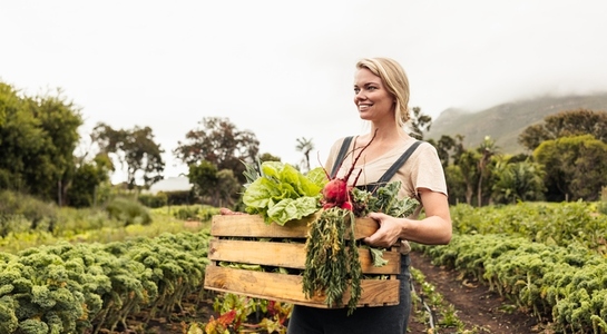 Young female farmer holding a box with fresh vegetables