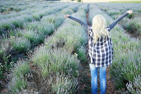 Young blonde woman alone in a lavender field