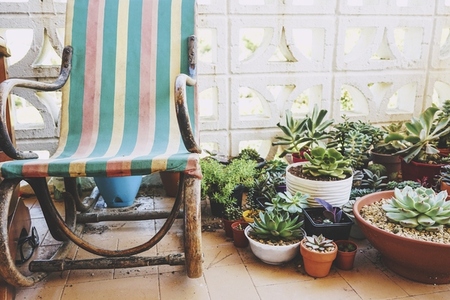 Tranqulity place in home at terrace with lot of succulent plants