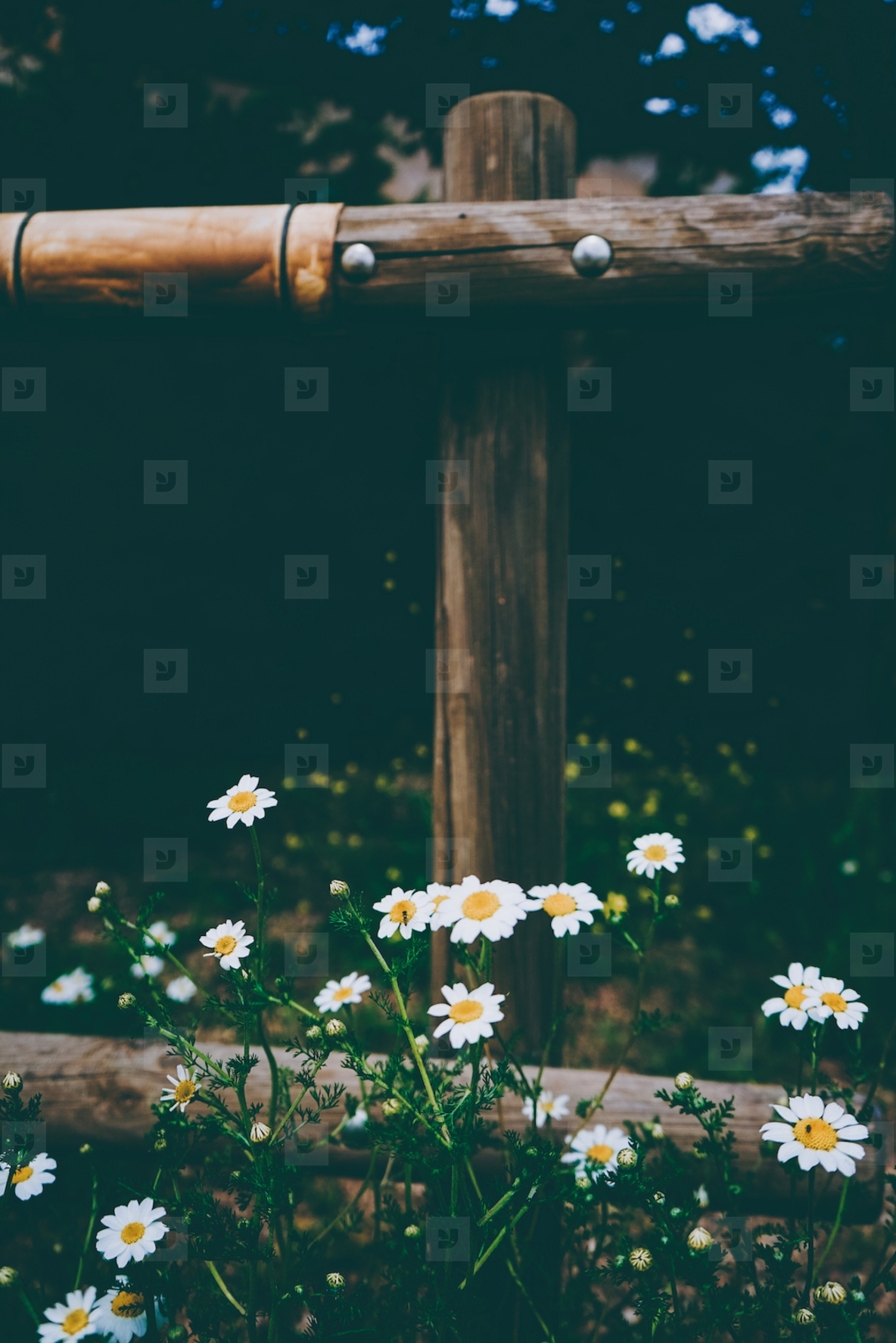 Beautiful image about rustic details of flowers and wood