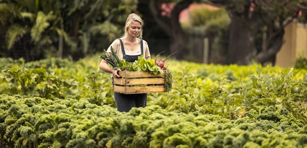 Young woman harvesting on her vegetable farm