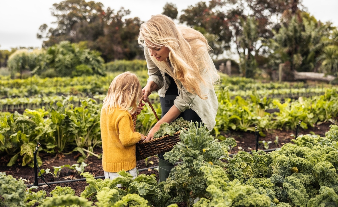 Mother and daughter harvesting in a vegetable garden