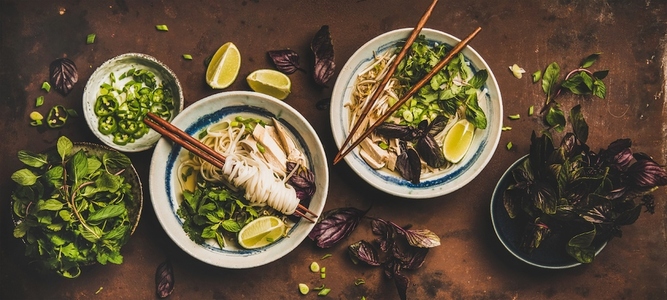 Flat lay of Vietnamese lunch with soup Pho Ga with chicken