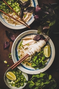 Flat lay of Vietnamese soup Pho Ga with chicken and noodles