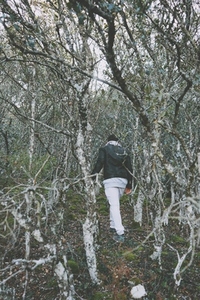 Young man alone in a huge forest