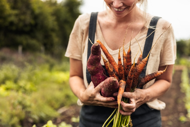 Cheerful female farmer holding freshly picked carrots and sweet potatoes