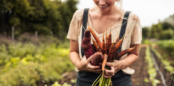 Cheerful female farmer holding freshly picked carrots and sweet potatoes