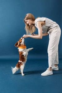 Woman playing with her dog in studio  Dog owner feeding her pet against a blue background