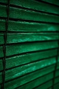 Green wooden texture of a blind in a window