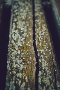 Old and dirty wooden texture