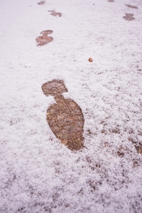 Temp male footprints in a snowy path