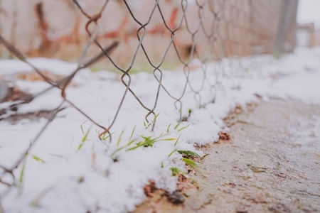 Abstract background of a snowy fence