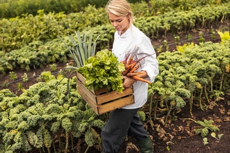 Female chef leaving a farm field with fresh vegetables