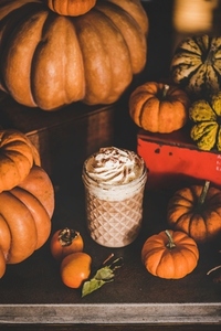 Pumpkin latte coffee drink topped with whipped cream and cinnamon
