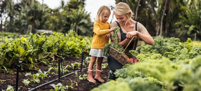 Smiling mother gathering fresh kale with her daughter