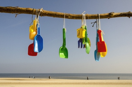 Colorful plastic shovels hanging on sunny beach branch