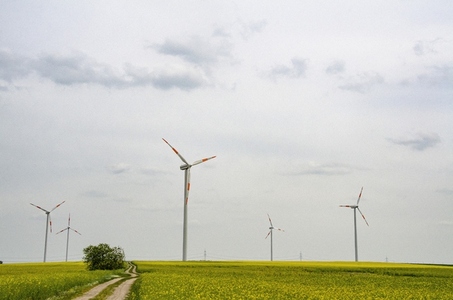 Wind turbines in idyllic rural field Germany