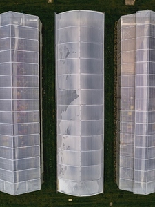 Aerial view from above sloped greenhouse roofs 2