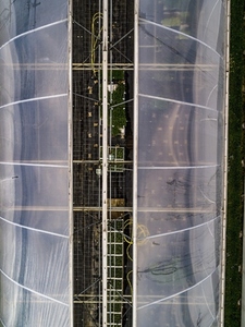 Plants growing below open greenhouse roof Germany