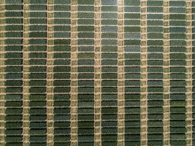 Aerial view lush green patches forming pattern in crop Germany