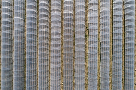 Aerial view polyethylene tunnels in rows over crops Germany