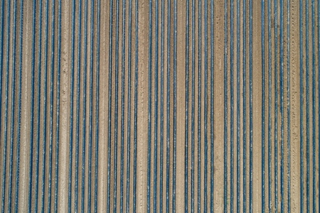 Polyethylene tunnels in rows over agricultural crop Germany