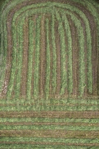 Aerial view green hay crop forming lines and curve pattern France