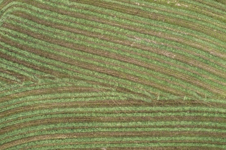 Aerial view rows of harvested green hay forming line pattern in landscape France