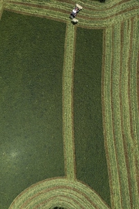Aerial view tractor harvesting pattern into green hay crop France