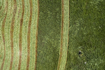 Aerial view harvested green hay field in sunny landscape France