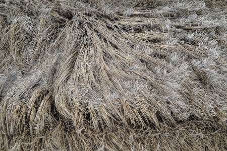 Textured brown hay crop