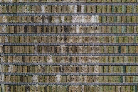 Aerial drone POV brown and green patches forming pattern in agricultural field