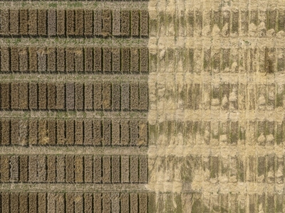 Aerial drone POV contrasting patches forming pattern in half harvested hay field