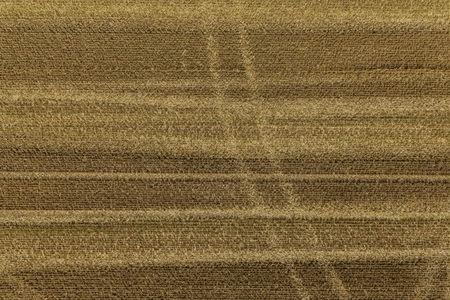 Aerial drone POV full frame golden brown agricultural landscape