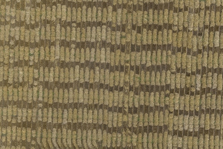 Aerial drone POV brown rectangular patches forming pattern in agricultural field