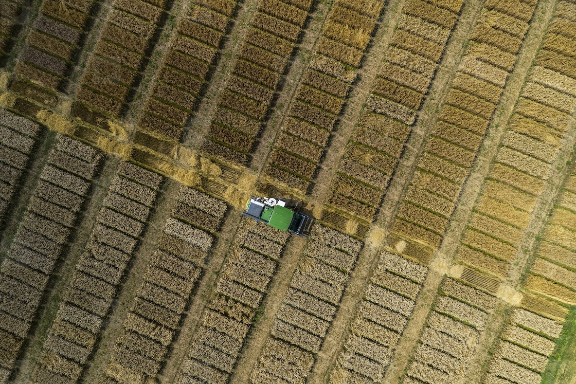 Aerial drone POV tractor in agricultural field with crop rectangles