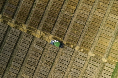 Aerial drone POV tractor in agricultural field with crop rectangles