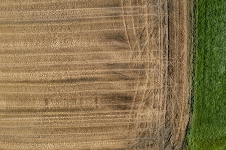 Aerial drone POV golden brown harvested hay field