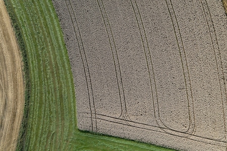 Aerial drone POV contrasted brown and green crops