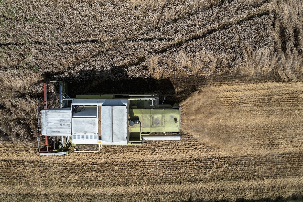 Aerial drone POV combine harvester harvesting hay in sunny field