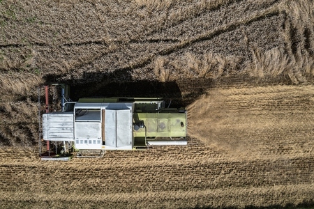 Aerial drone POV combine harvester harvesting hay in sunny field