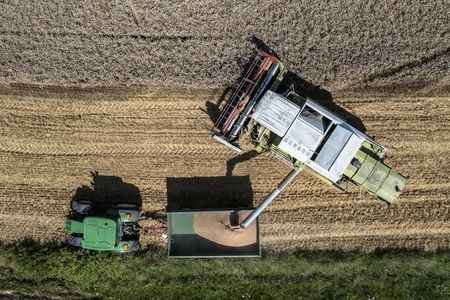 Aerial drone POV combine harvester filling tractor trailer in agricultural field