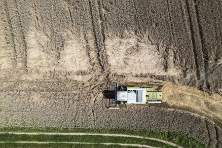 Aerial drone POV combine harvester harvesting hay crop on sunny farm