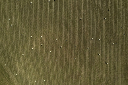 Aerial drone POV hay bales scattered on striped agricultural landscape