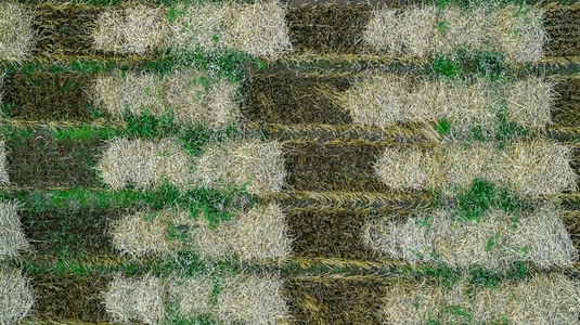 Aerial drone POV brown and green crop patches forming pattern