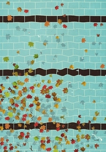 View from above of autumn leaves floating on swimming pool water
