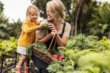 Happy single mother picking fresh kale with her daughter